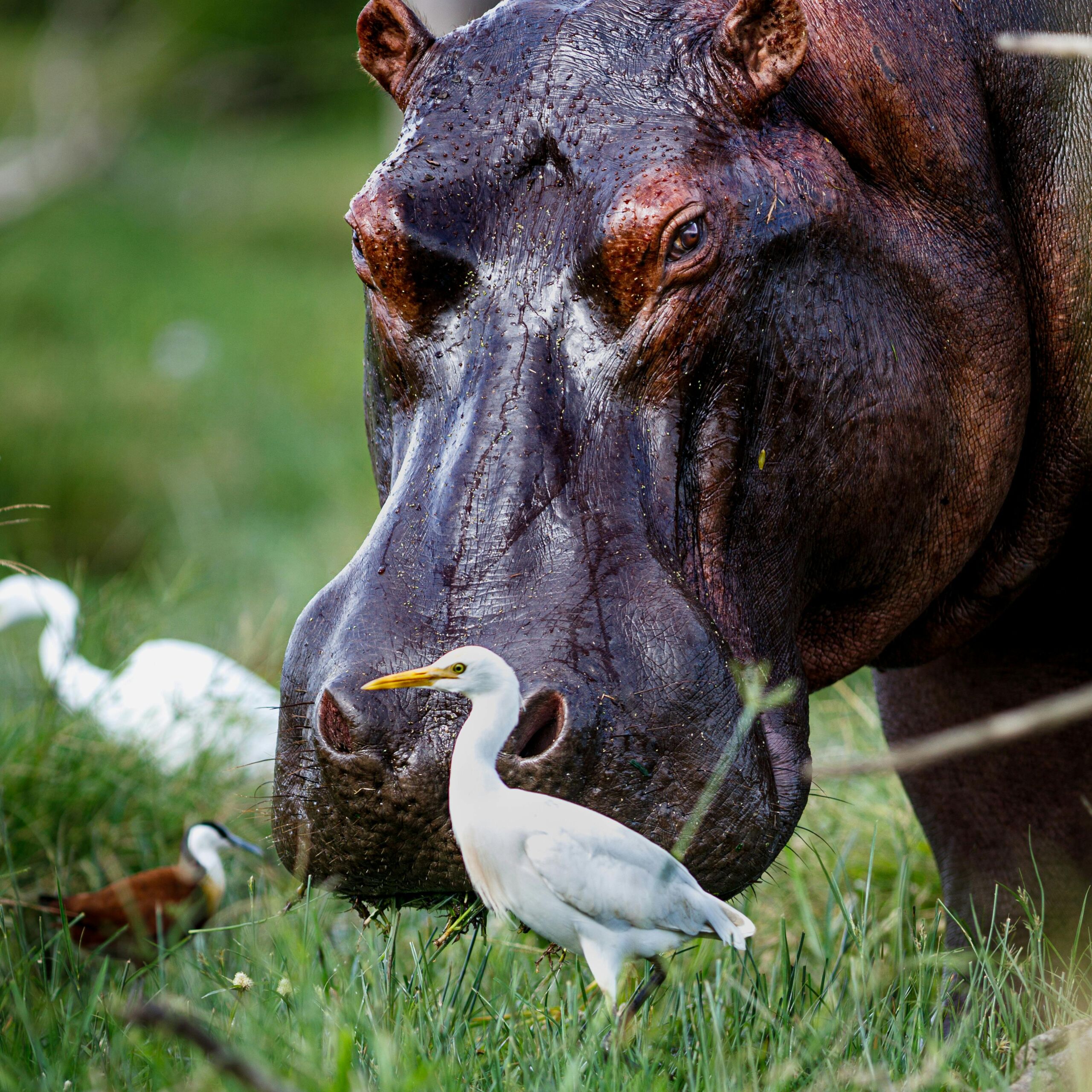Environmental Portraits